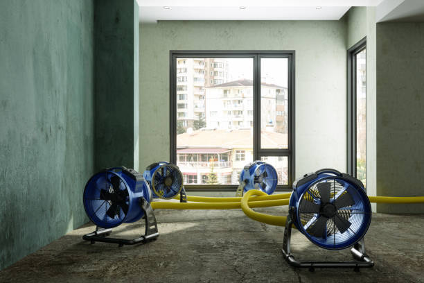 Best Water damage restoration experts  in Garfield, NJ
